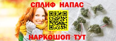 крисы Гагарин