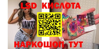 крисы Гагарин