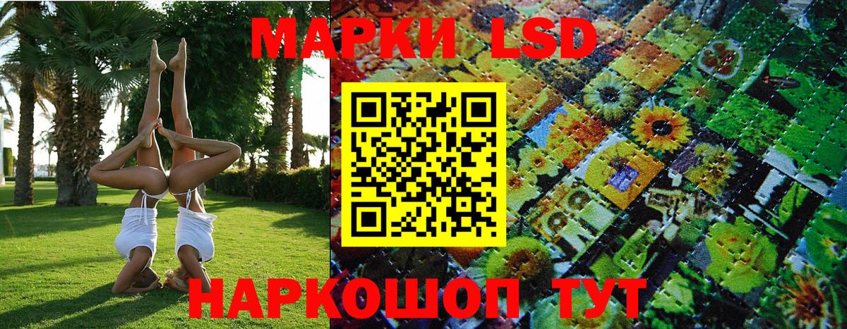 Камышин  Марки N-bome 1,8мг  Вход с VPN 