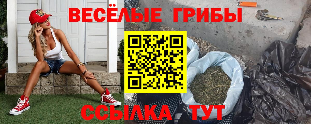 Камышин  Галлюциногенные грибы Magic Shrooms  Вход с VPN 